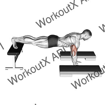 Incline Push Up Depth Jump animated GIF