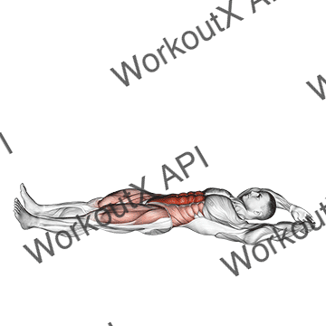Jackknife Sit-up animated GIF