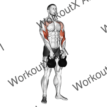Kettlebell Alternating Hang Clean animated GIF
