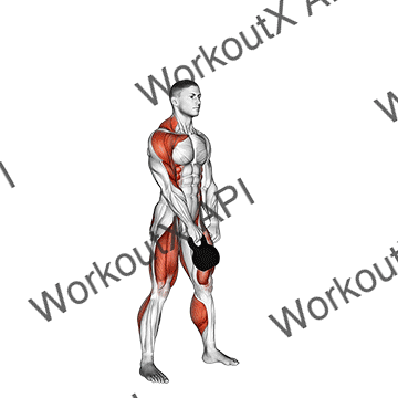 Kettlebell One Arm Snatch animated GIF