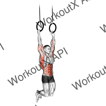 Kipping Muscle Up animated GIF