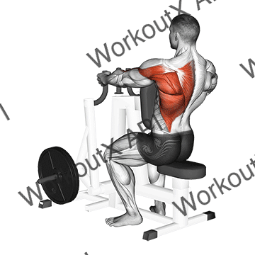 Lever Alternating Narrow Grip Seated Row animated GIF