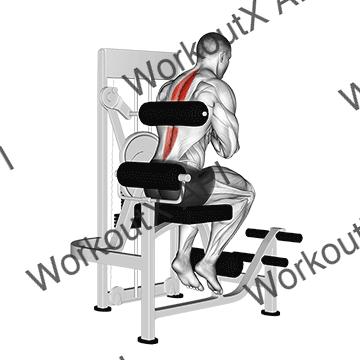 Lever Back Extension animated GIF