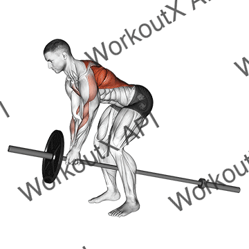 Lever Bent Over Row animated GIF