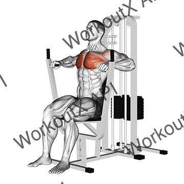 Lever Chest Press