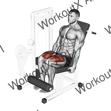 Lever Leg Extension animated GIF