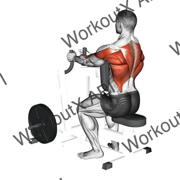 Lever Narrow Grip Seated Row animated GIF