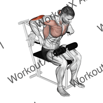 Lever Overhand Triceps Dip animated GIF