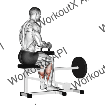Lever Seated Calf Raise animated GIF