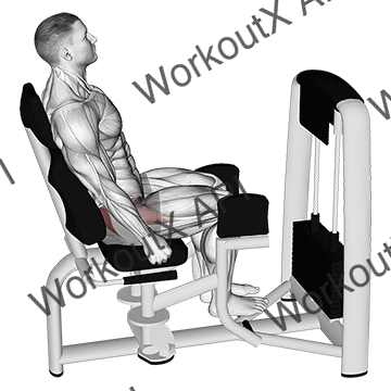Lever Seated Hip Abduction animated GIF