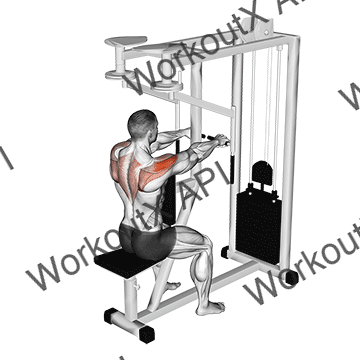 Lever Seated Reverse Fly animated GIF