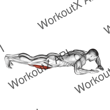 Lying (side) Quads Stretch animated GIF
