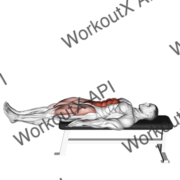 Lying Leg Raise Flat Bench animated GIF
