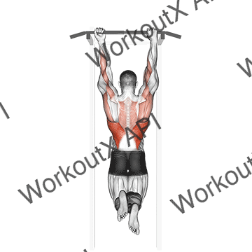 Mixed Grip Chin-up animated GIF