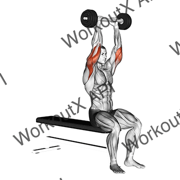 Olympic Barbell Triceps Extension animated GIF