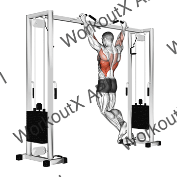 Pull Up (neutral Grip) animated GIF
