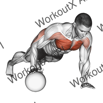 Push-up Medicine Ball animated GIF