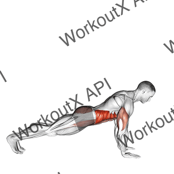 Push-up To Side Plank animated GIF