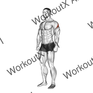 Rear Deltoid Stretch animated GIF