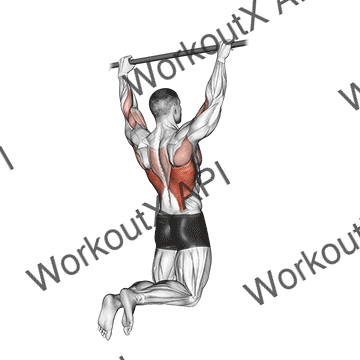 Rear Pull-up animated GIF