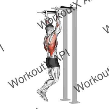 Reverse Grip Pull-up animated GIF