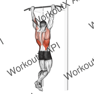 Rocky Pull-up Pulldown animated GIF