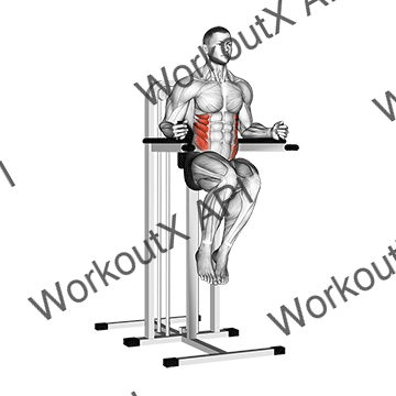 Side Hip (on Parallel Bars) animated GIF