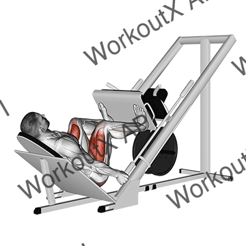 Sled 45° Leg Wide Press animated GIF
