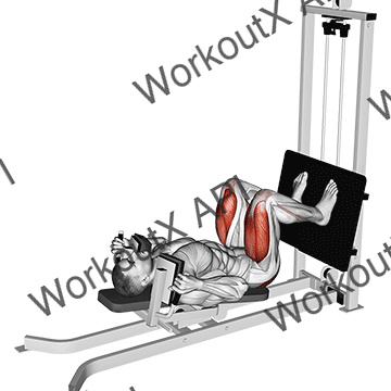 Sled Lying Squat animated GIF