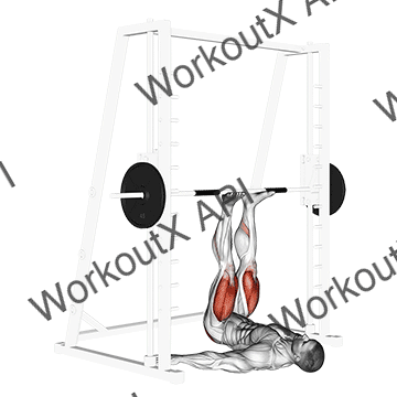 Smith Leg Press animated GIF
