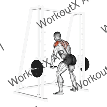 Smith Rear Delt Row animated GIF