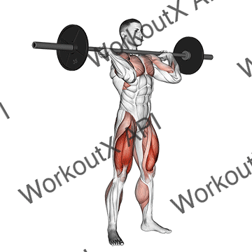 Squat Jerk animated GIF