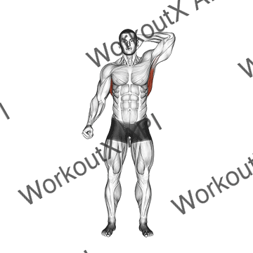 Standing Lateral Stretch animated GIF
