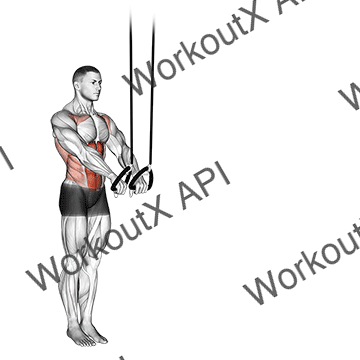 Suspended Abdominal Fallout animated GIF