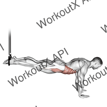 Suspended Reverse Crunch animated GIF