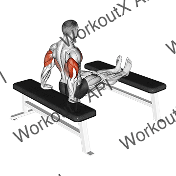 Triceps Dip (bench Leg) animated GIF