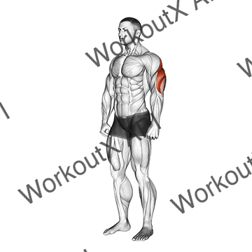 Triceps Stretch animated GIF