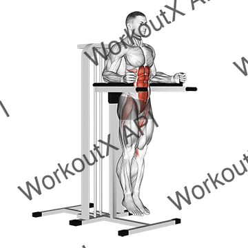 Vertical Leg Raise (on Parallel Bars) animated GIF