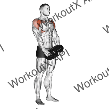 Weighted Front Raise animated GIF