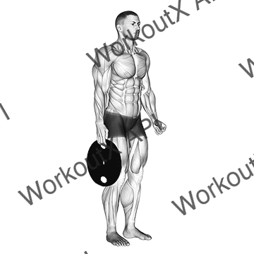 Weighted Standing Hand Squeeze animated GIF