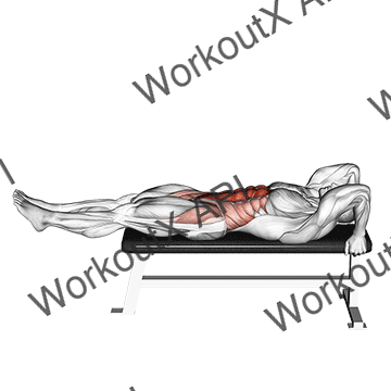 Lying Leg-hip Raise animated GIF