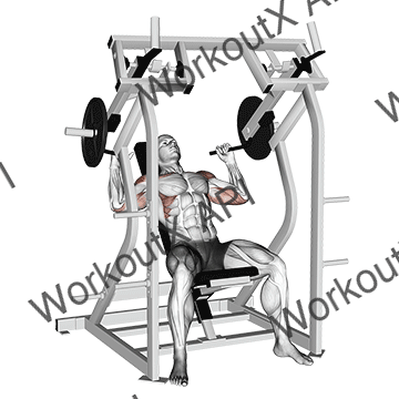 Lever Shoulder Press V. 2 animated GIF