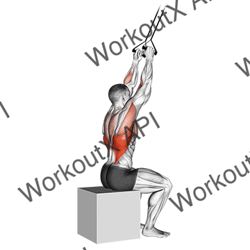 Band Close-grip Pulldown animated GIF