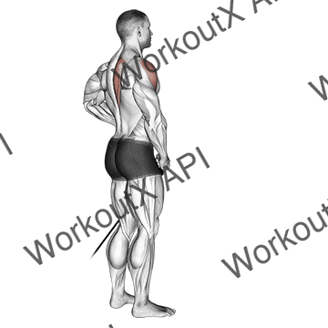 Band Front Lateral Raise animated GIF