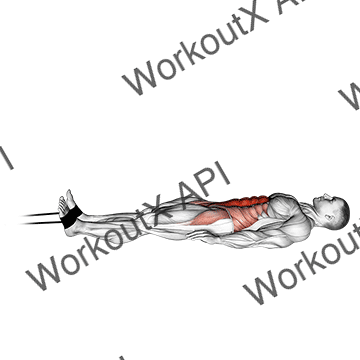 Band Jack Knife Sit-up animated GIF