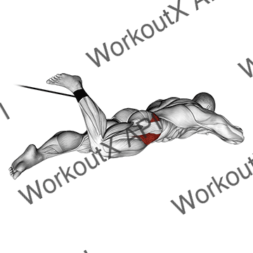 Band Lying Hip Internal Rotation animated GIF