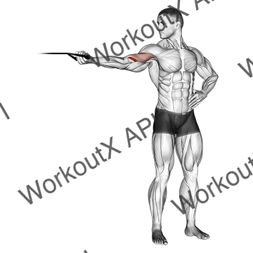 Band One Arm Overhead Biceps Curl animated GIF