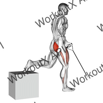 Band One Arm Single Leg Split Squat animated GIF