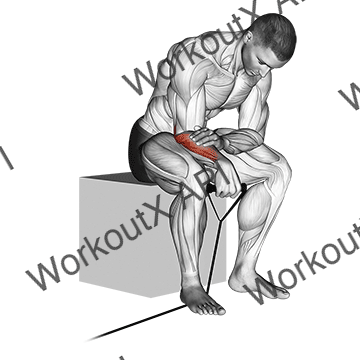 Band Reverse Wrist Curl animated GIF