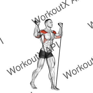 Band Shoulder Press animated GIF